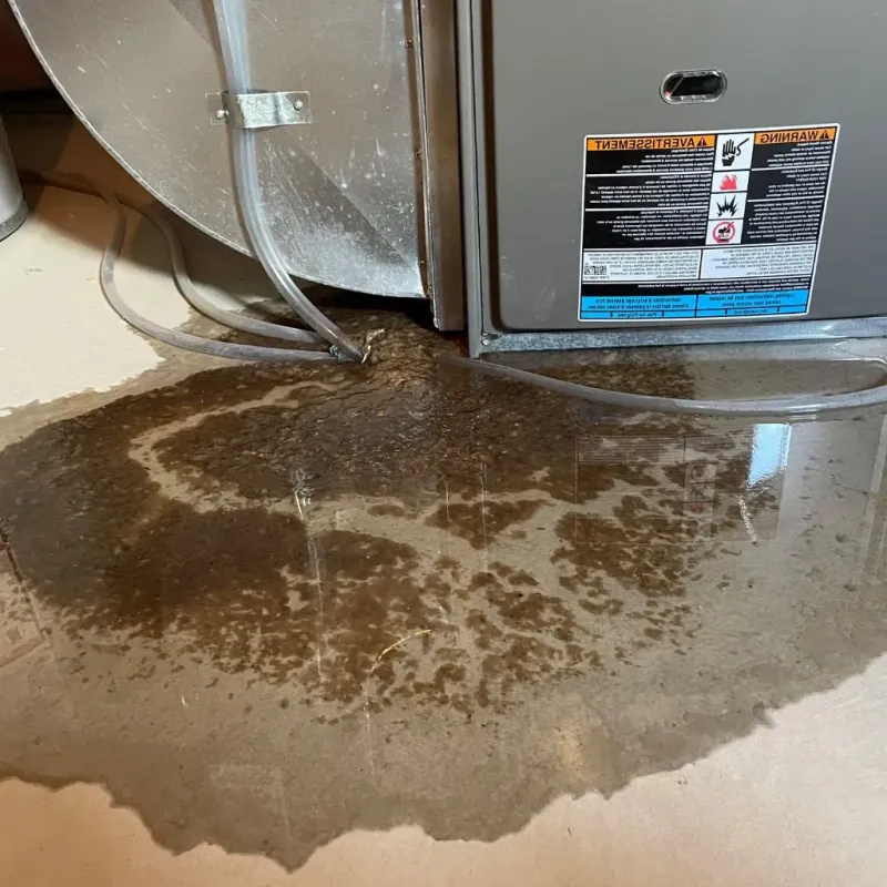 Pipe Burst and Leak Restoration in Lincoln County, MT