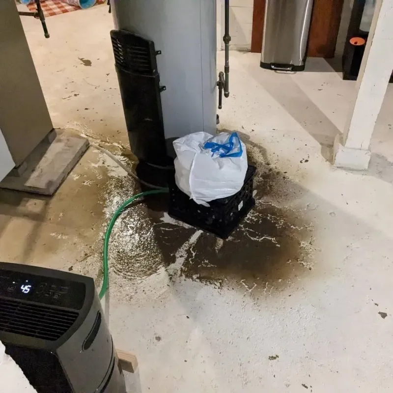 Sewage Backup Cleanup Service in Lincoln County, MT